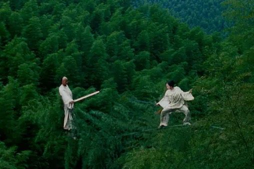 Martial Arts: Crouching Tiger, Hidden Dragon