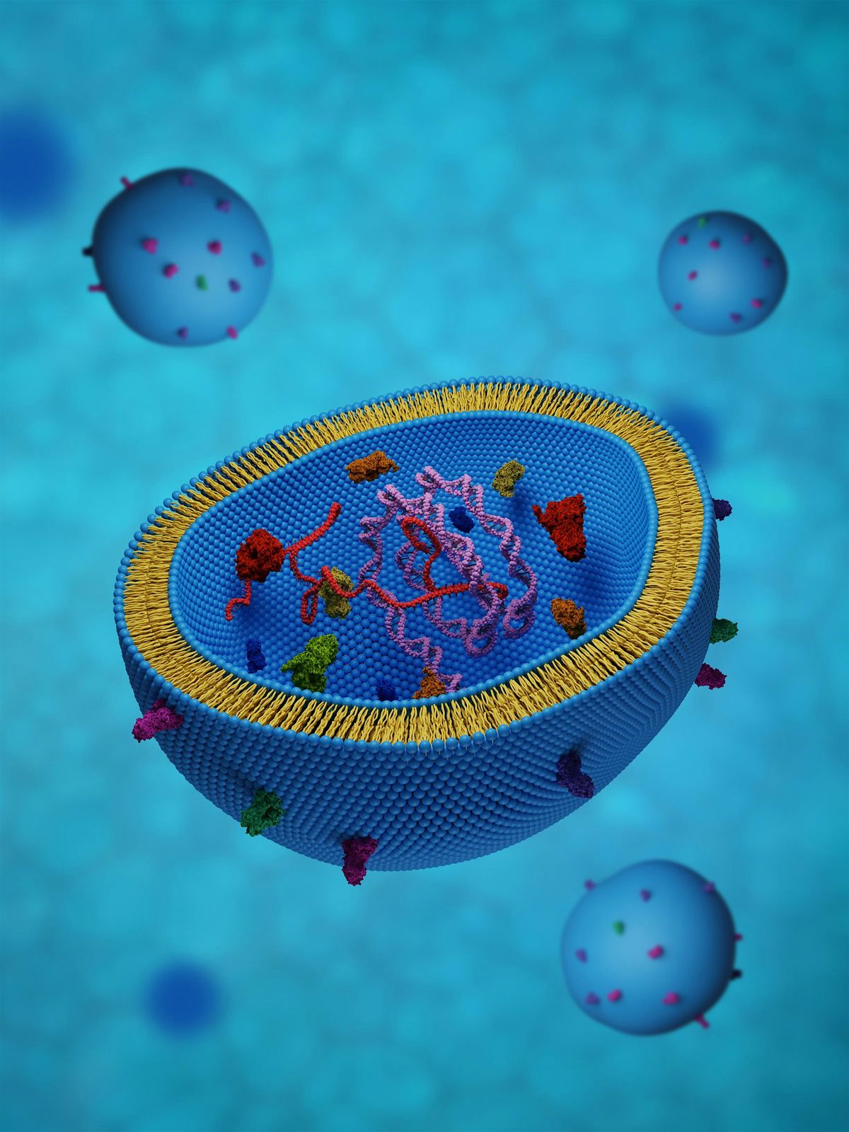 Size Really Does Matter: Biological Nanoparticles Are Changing Biomedicine