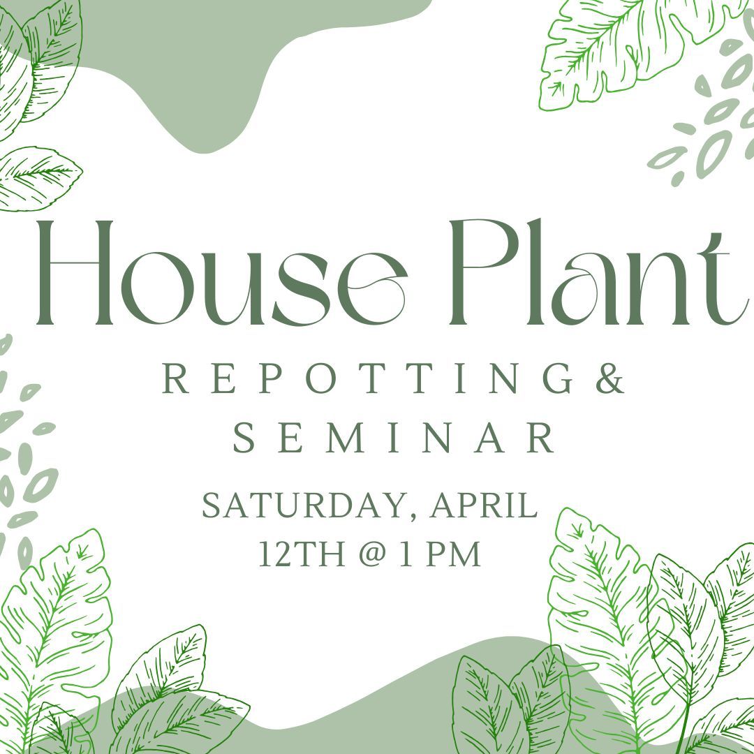 House Plant Repotting & Seminar