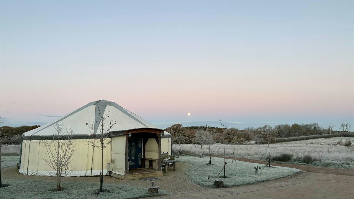 Plant Pilgrim Server: A Journey Through the Celtic Wheel of the Year