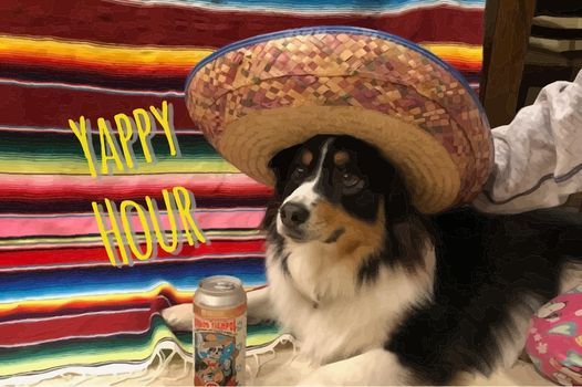 Dog Friendly Happy Hour in Jupiter