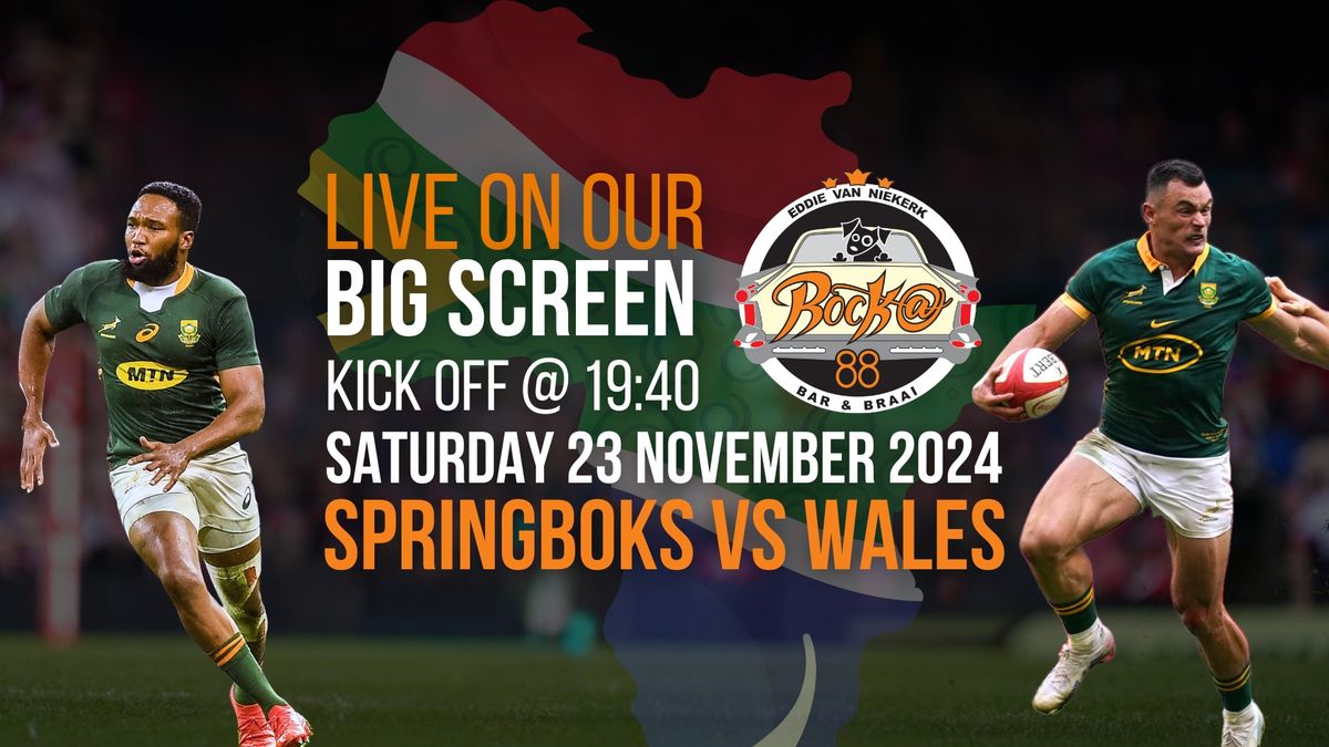 Springboks vs Wales