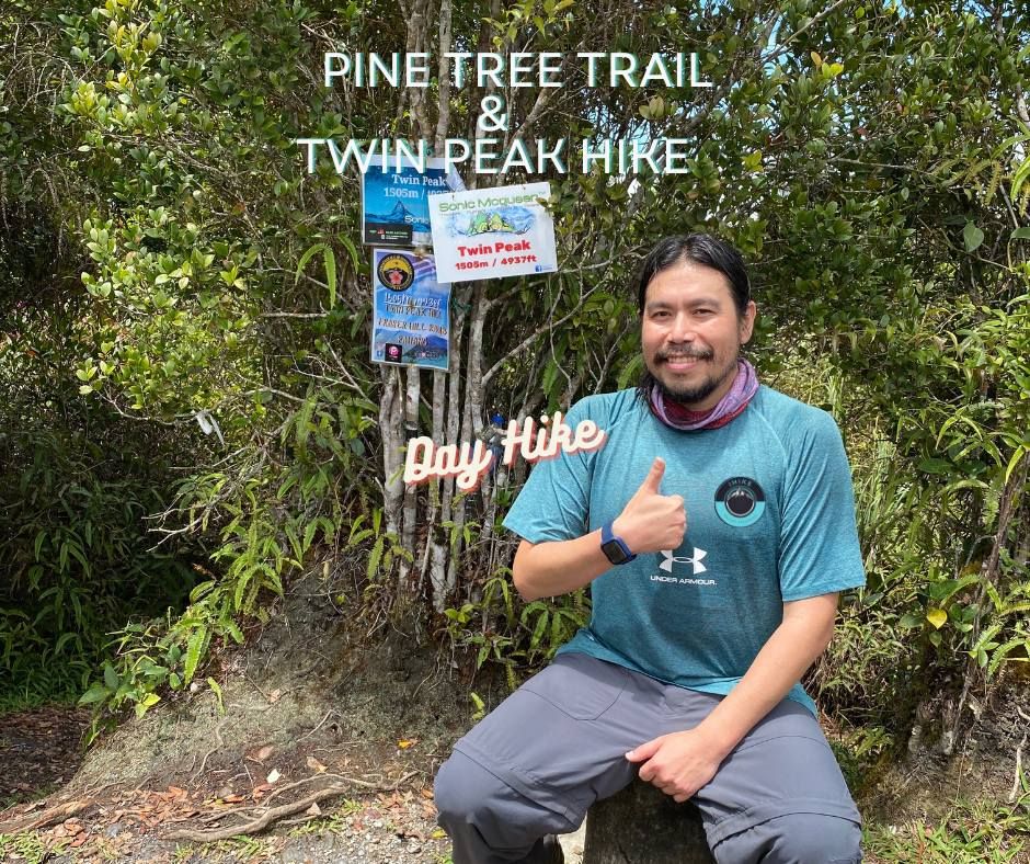 Pine Tree Trail & Twin Peak Hike