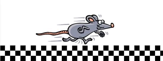 Mouse Race for The Thomas Schmid Scholarship