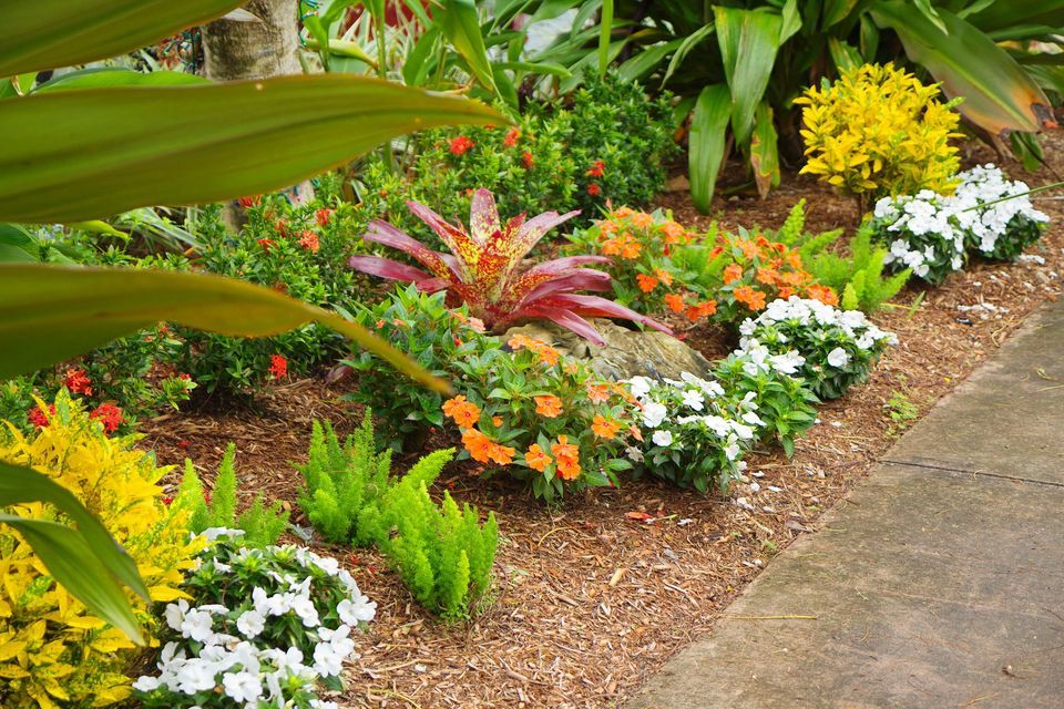 Horticulture for South Florida Gardens