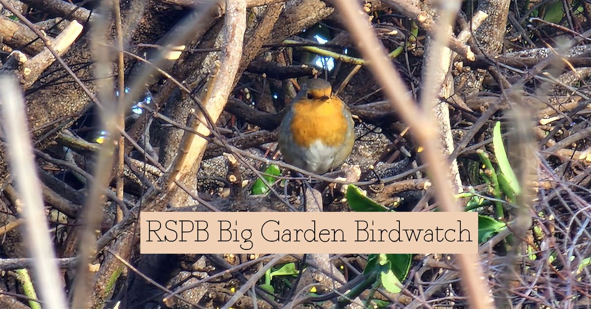 Community Gardening Day : RSPB Big Garden Birdwatch