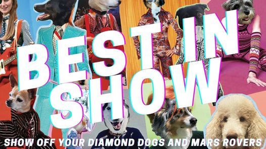 Best In Show Dog Competition