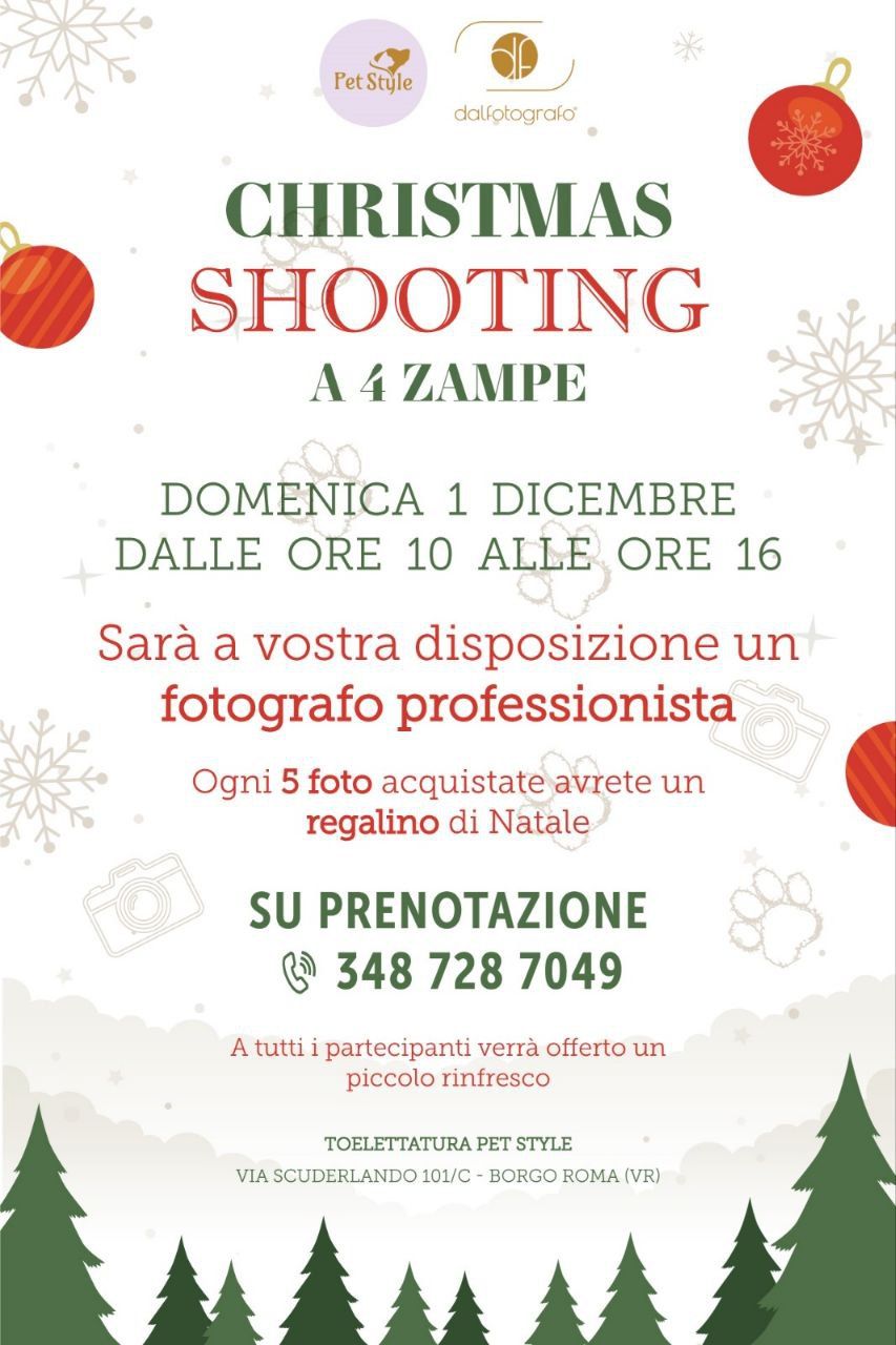 Shooting fotografico di Natale a 4 zampe