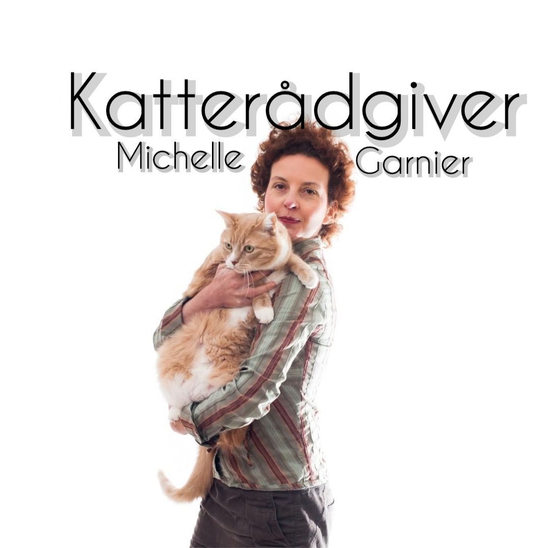 Foredrag med katter\u00e5dgiver Michelle Garnier