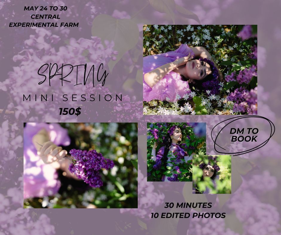 Lilac Photoshoot