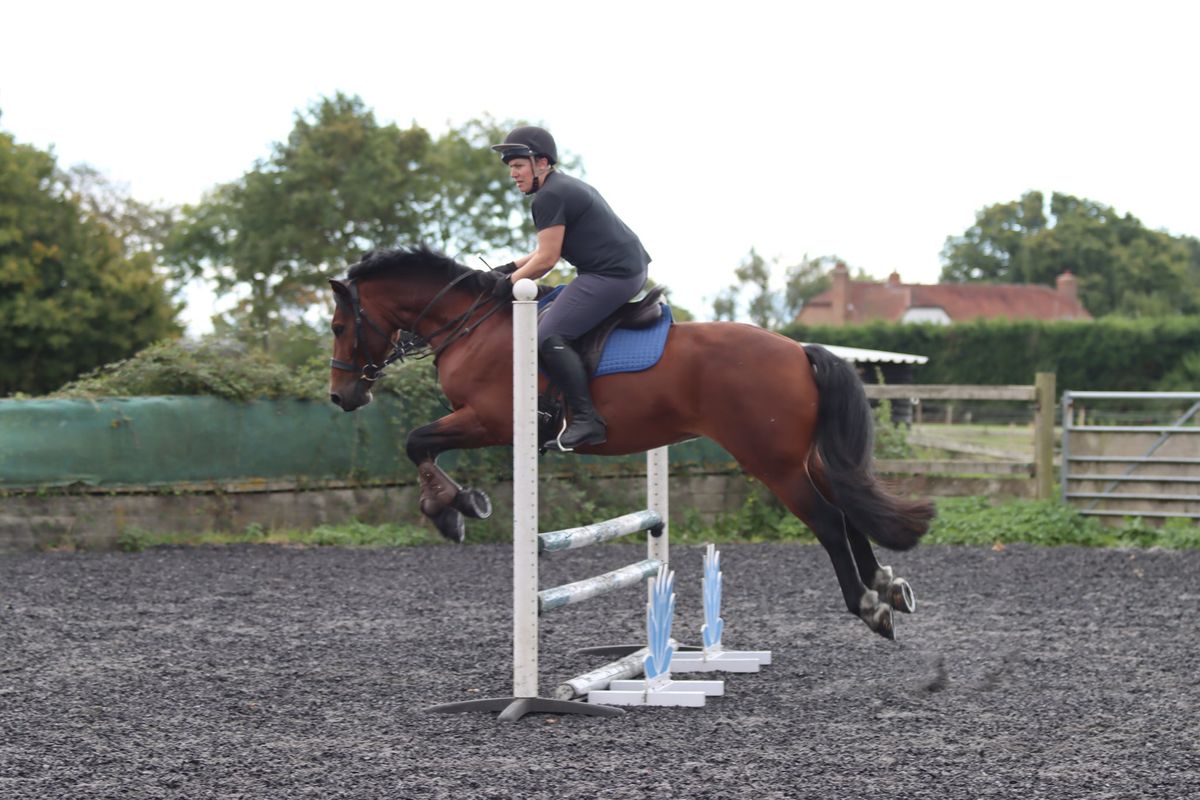 Showjumping with Sam Garry (for all abilities, from cross poles up)