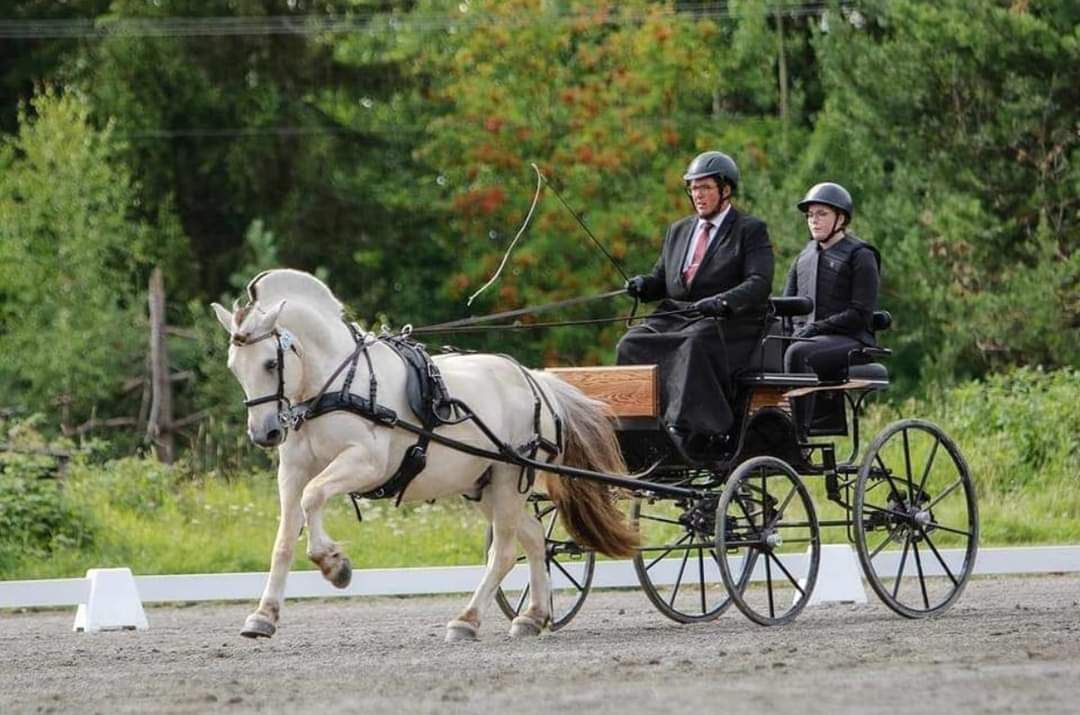 Stav KRK: Kj\u00f8rekurs med Tommy L\u00f8vberg