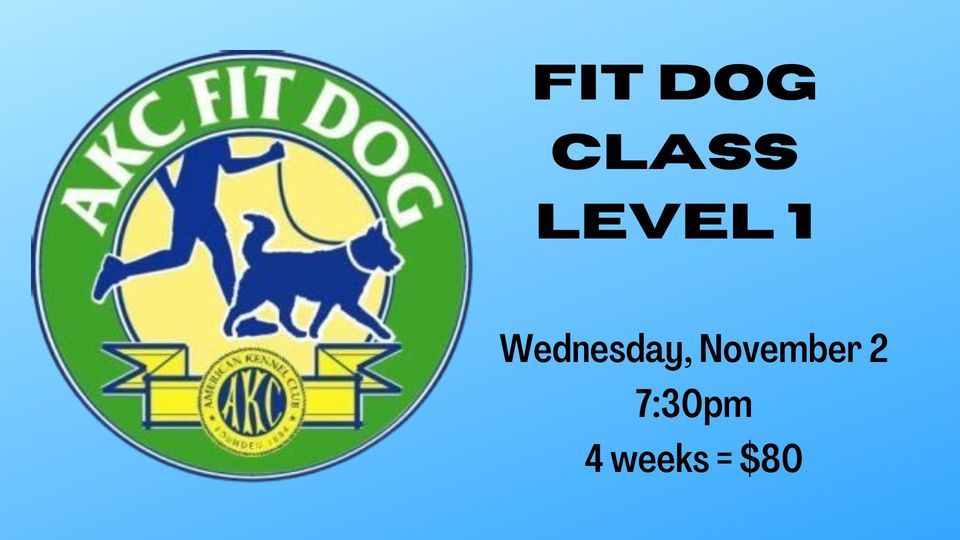 Fit Dog Class (Level 1), emBARK, Eau Claire, 2 November 2022