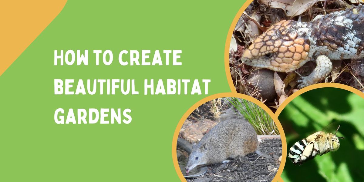 How to create beautiful habitat gardens for wildlife