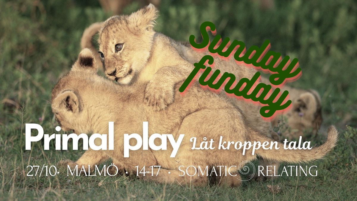 PRIMAL PLAY Sunday funday