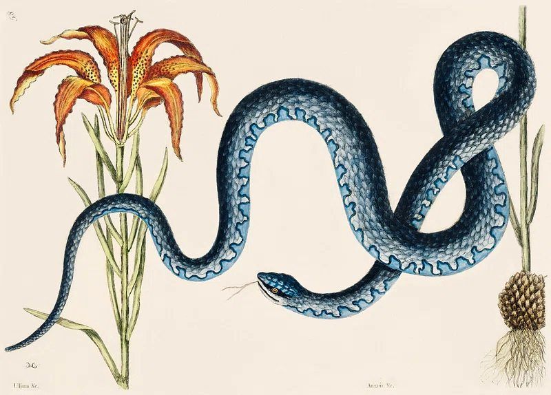 Eleusis Book Club: Goethe's FAIRYTALE OF THE GREEN SNAKE AND THE BEAUTIFUL LILY