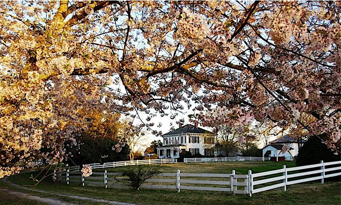 Tour, Taste & Plan: A Wedding Experience at Historic Brookfield Estate