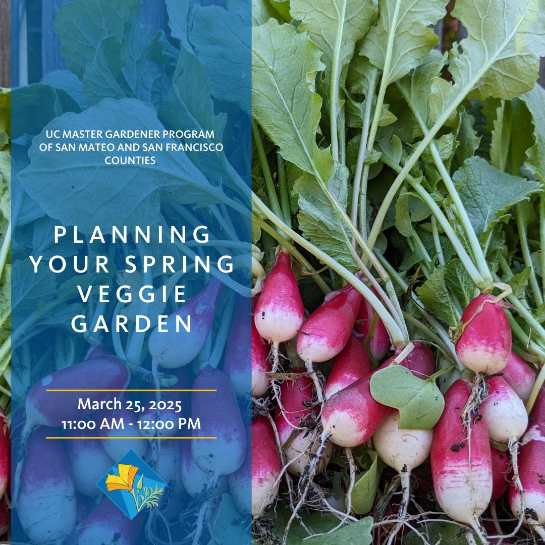 Planning Your Spring Veggie Garden