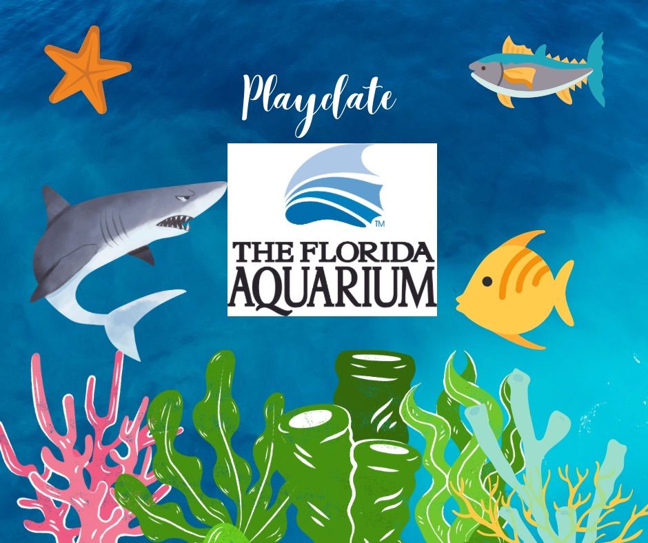 Playdate Florida Aquarium 