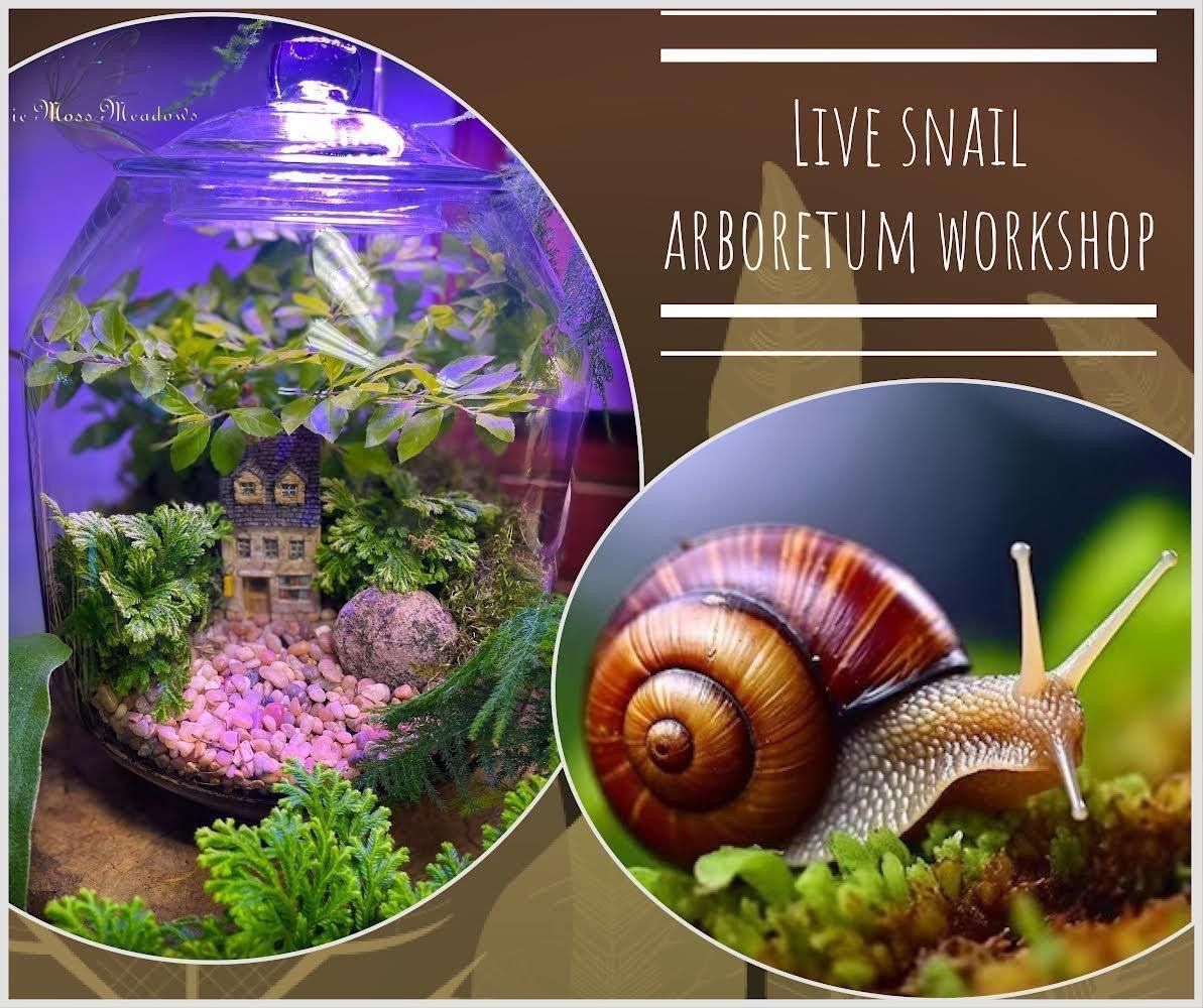 Live snail Arboretum Workshop