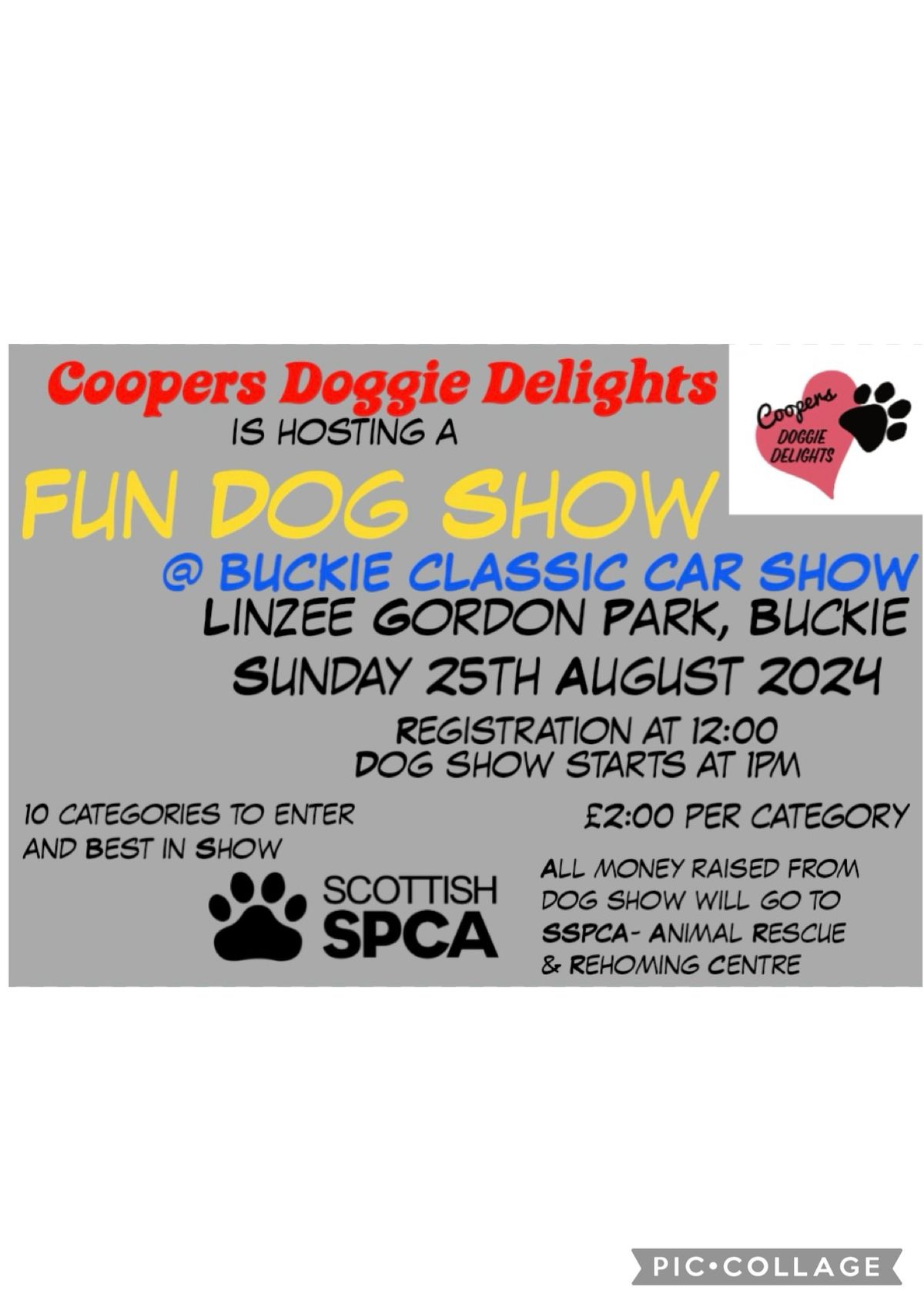 Buckie Classic Car Show Fun Dog Show?