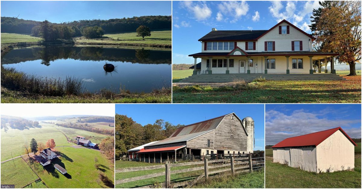 OUTSTANDING 390\u00b1ACRE CERTIFIED ORGANIC FARM for PUBLIC AUCTION!