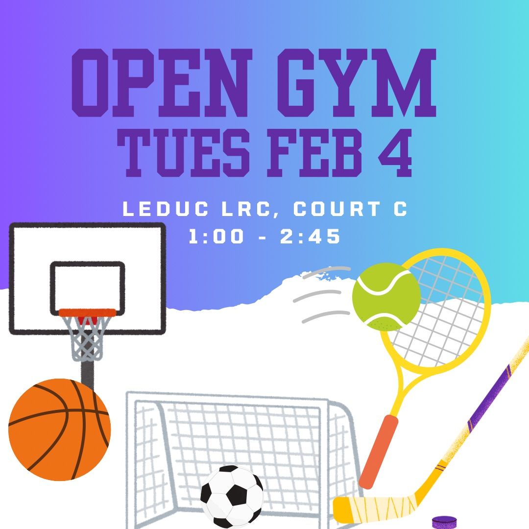 February 4 Open Gym @ LRC