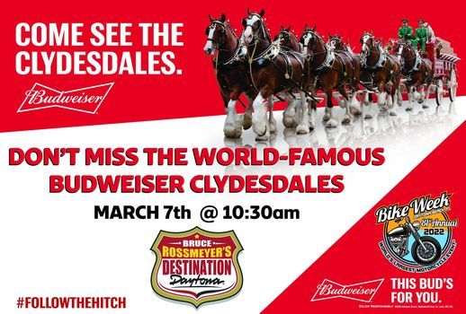 Budweiser Clydesdales On Parade, Bruce Rossmeyer's Daytona Harley-Davidson, Ormond Beach, 7 March 2022