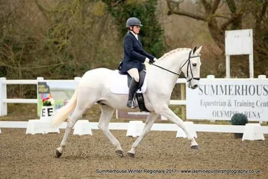 Dressage Test Riding Clinic