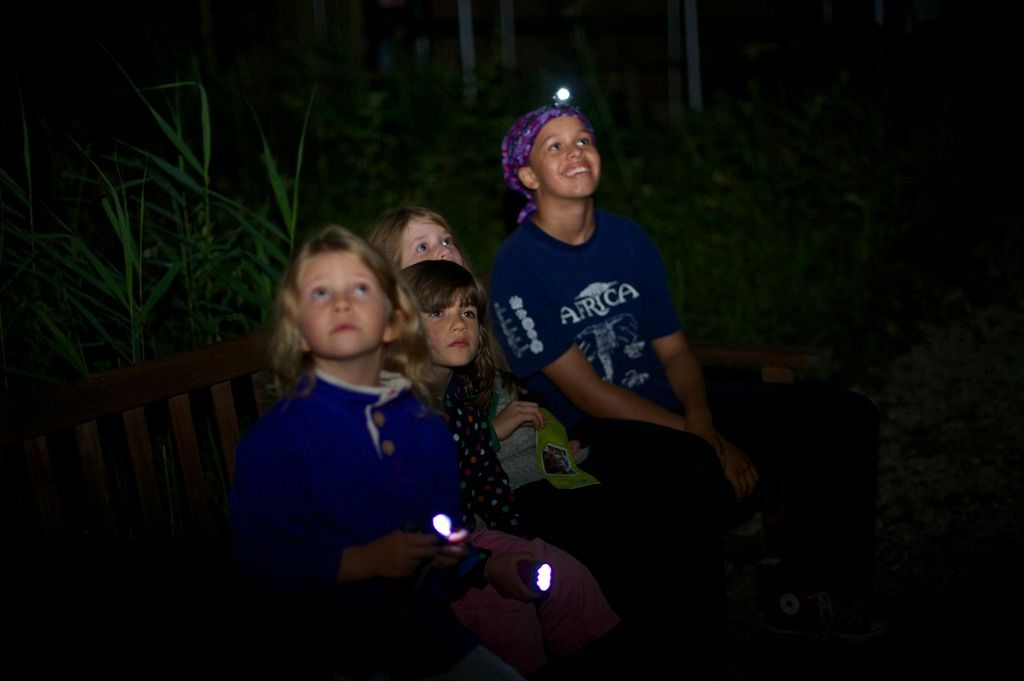 Night-time safari for families at RSPB Strumpshaw Fen