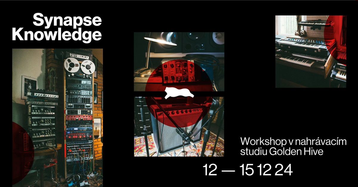 Synapse Knowledge: Workshop v nahr\u00e1vac\u00edm studiu Golden Hive