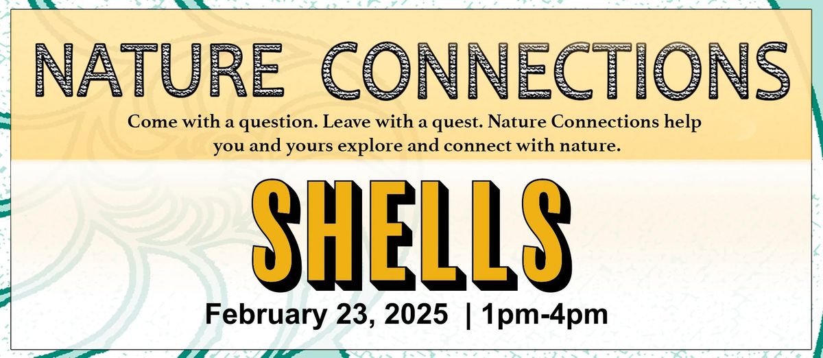 Nature Connections: Shells