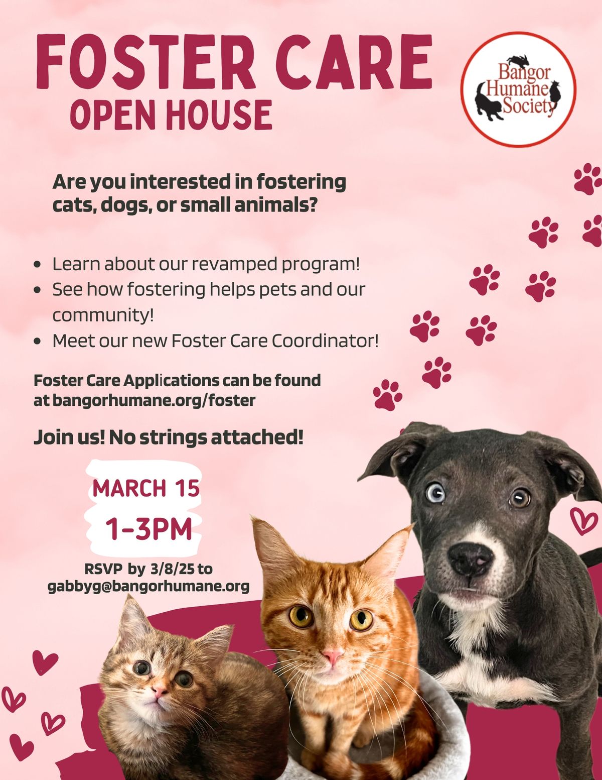 Foster Care Open House