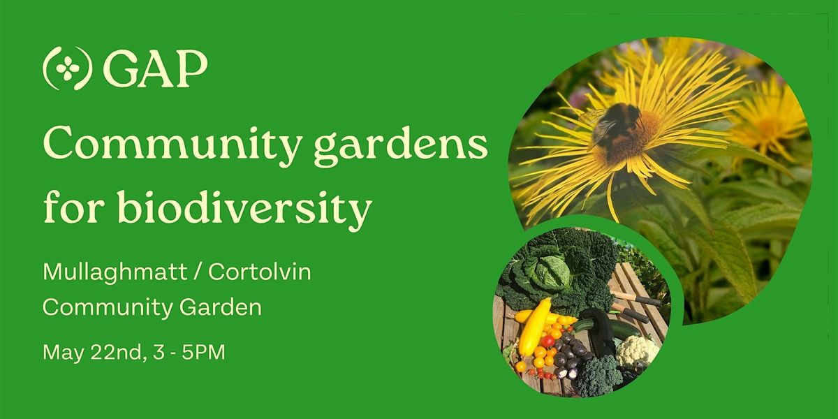 Community gardens for biodiversity - Monaghan