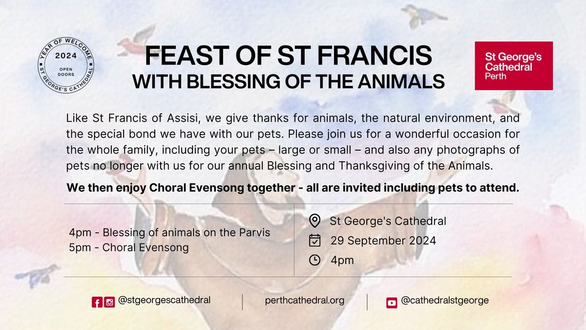 Feast of St Francis - Blessing of the Animals