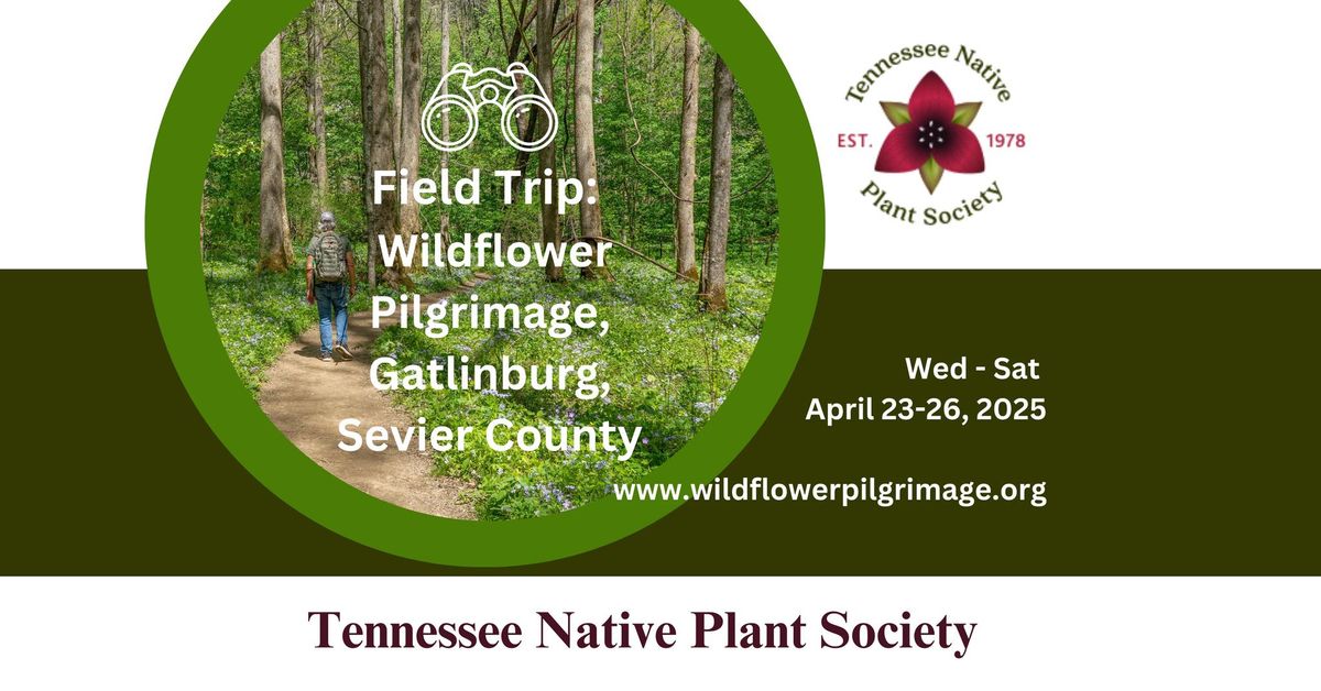 TNPS Field Trip:  Wildflower Pilgrimage, Gatlinburg, Sevier Co.