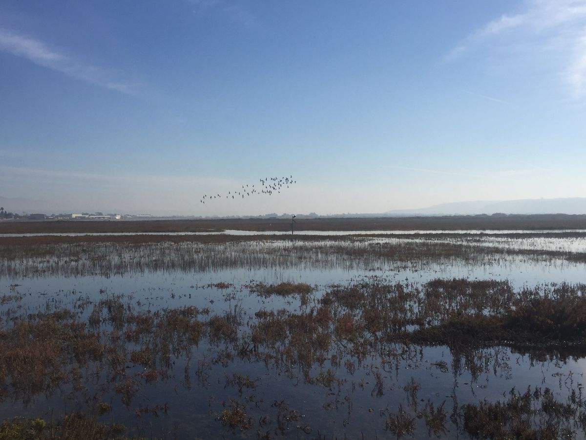 King Tide Hike