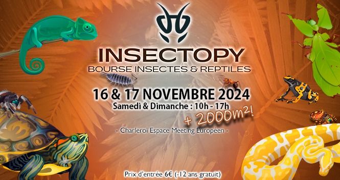 INSECTOPY 2024 - AUTOMNE