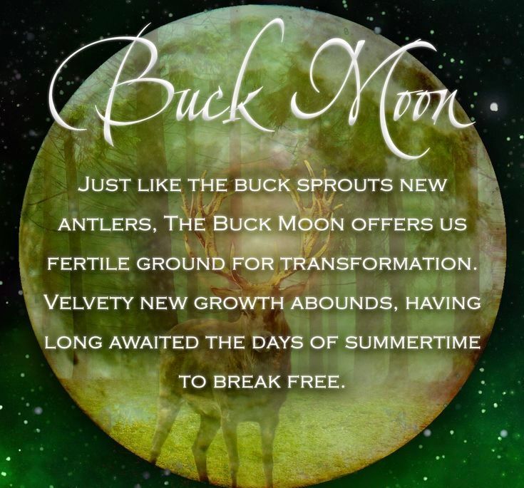 Buck Blessing Full-Moon Harmony & Balance 