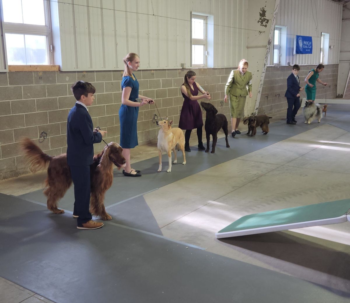 JR Showmanship\/Beginning Handler Seminar at Winnegamie Dog Club Dog Club