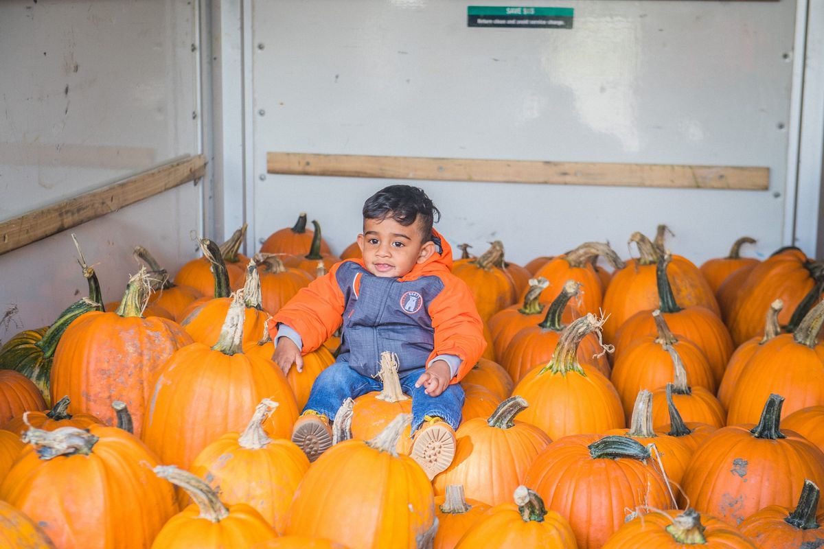 CGTA's Annual Pumpkin Giveaway - West Rouge 