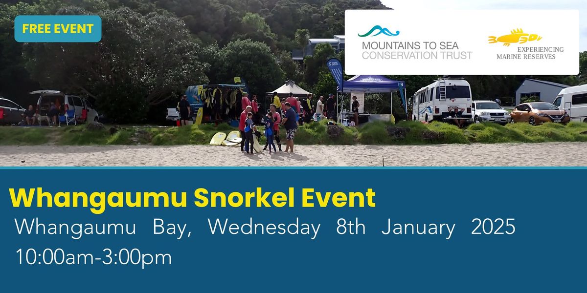 Whangaumu Bay Snorkel Day