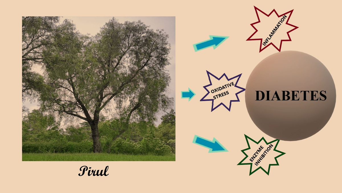 The Residents with DJ Carbo (18+)