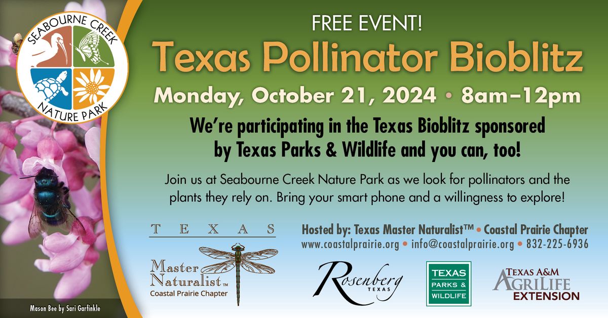 Texas Pollinator Bioblitz