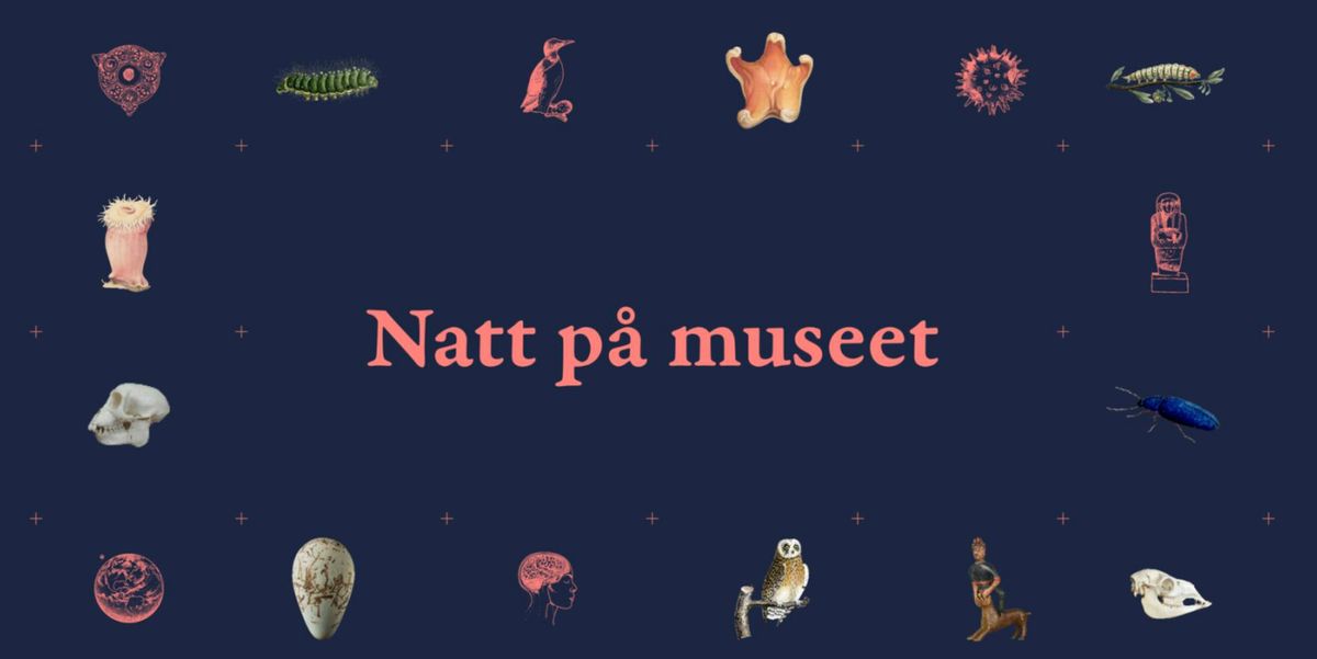 Natt p\u00e5 museet