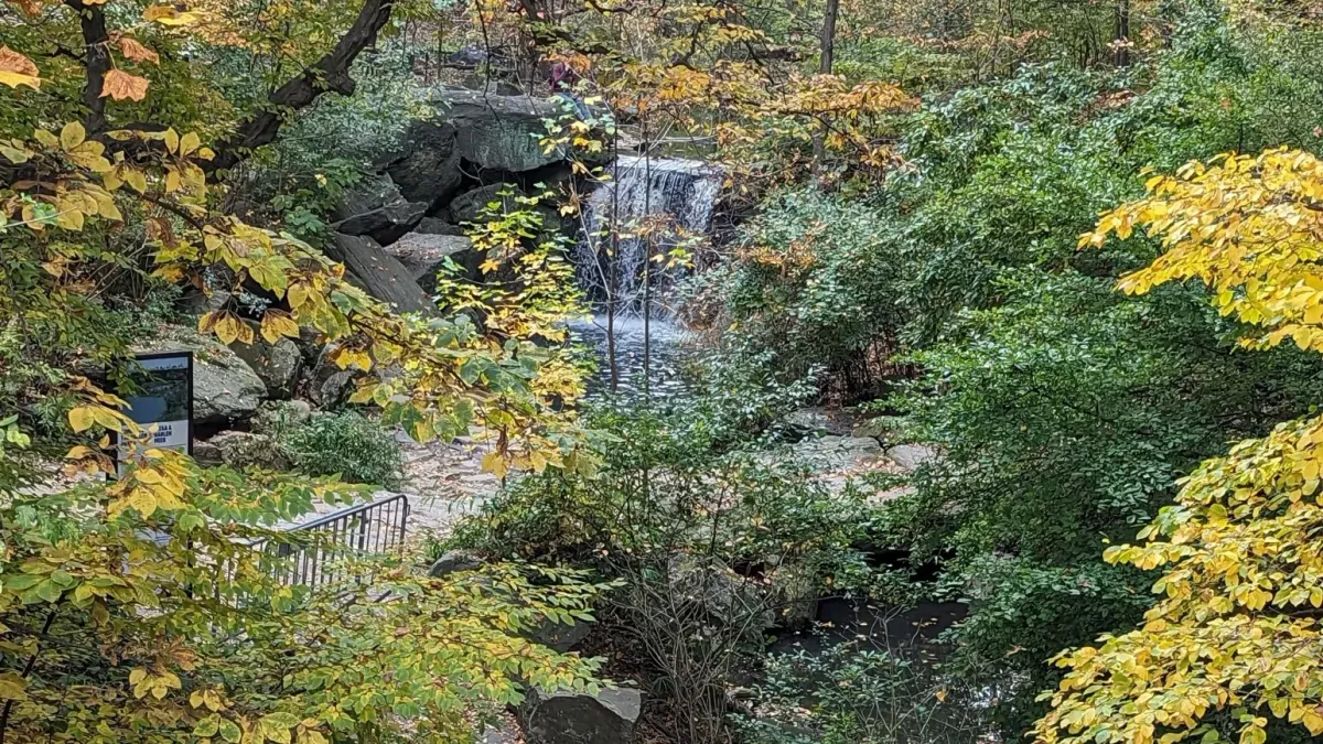 Foliage Mindful Hike in Central Park North Woods \/ 6 Miles