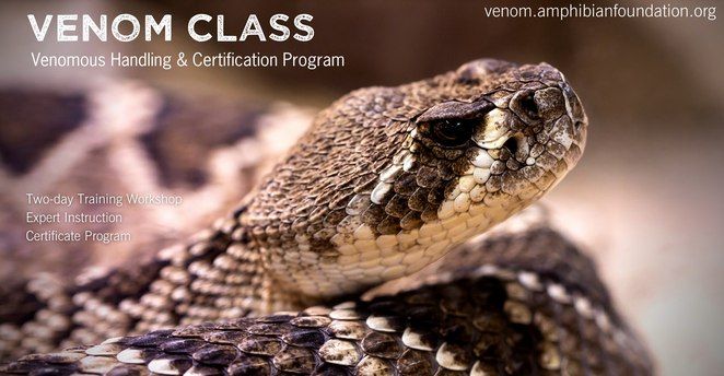 Venomous Training & Certification Workshop