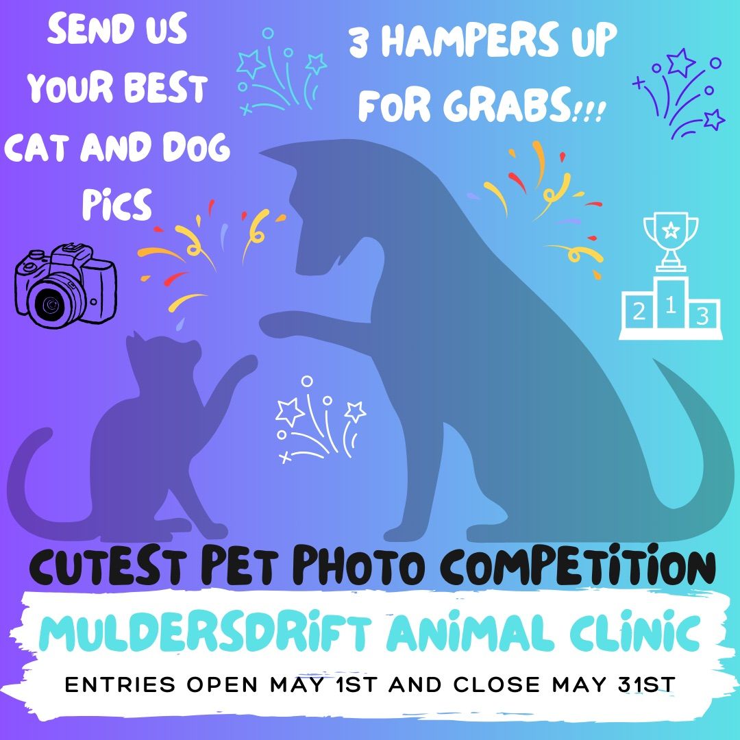 Cutest Pet Photo Competition!!