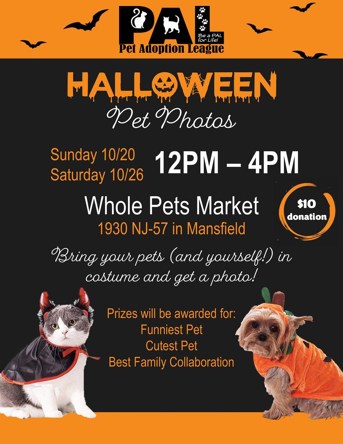 PAL's Halloween Pet Photos