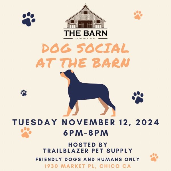 Dog Social at The Barn